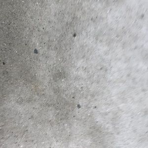 Meet your Posher, Raigan